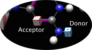 Labeling hydrogen bond donors and acceptors