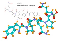Structure for Gliadin molecule, component of gluten