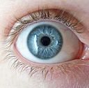 Image of human blue eye