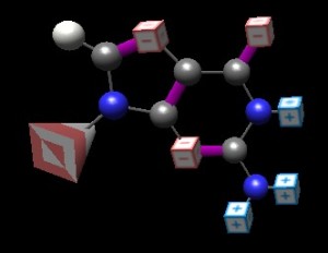 molecule display of guanine using charge cubes instead of atom spheres