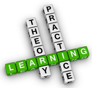 Biology: teaching theory vs. teaching practice